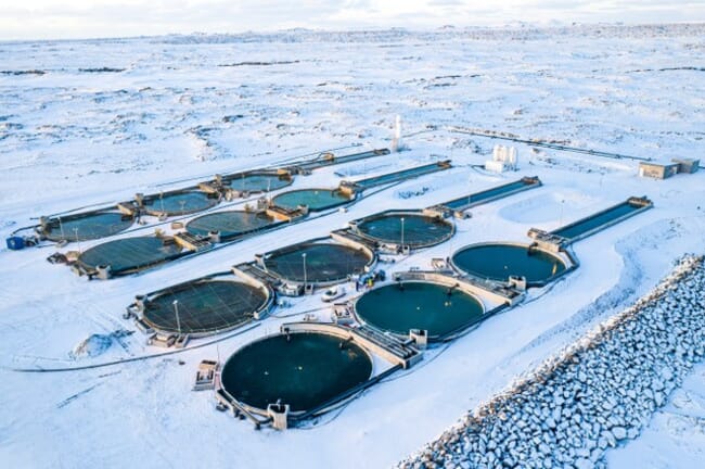 aerial view of a land-based fish farm.