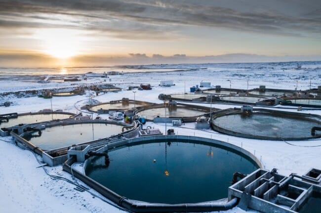 una piscifactoría en tierra