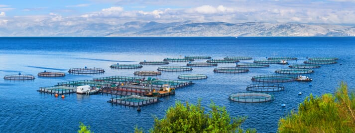 View of sea cages in the Mediterranean