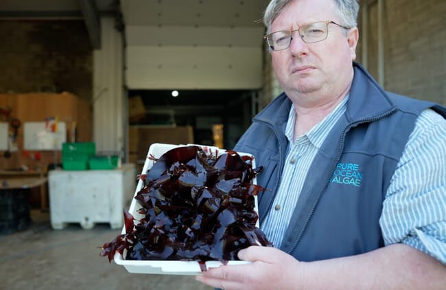 Man holding a container of seaweed