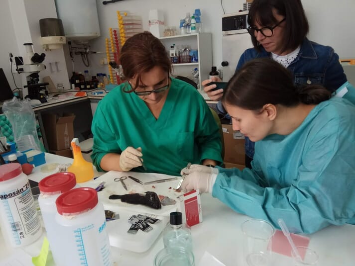 lab technicians examining a fish