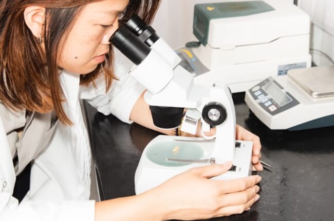 uma senhora observando uma amostra por meio de um microscópio.