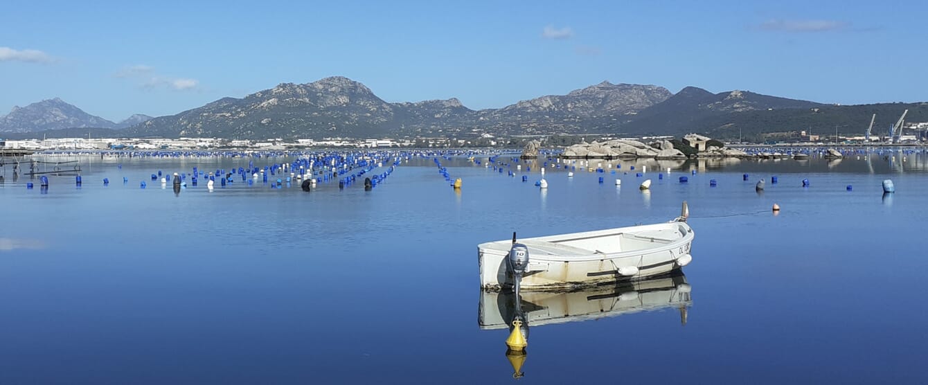 boat with a mussel farm in the background