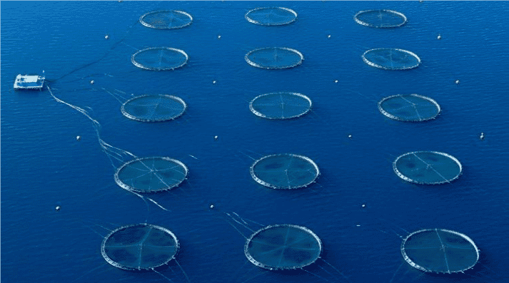 Fish pens in the open water