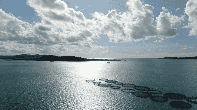 view of sea cages in the Mediterranean Sea