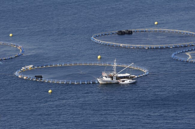 Aerial view of fishing vessel and large sea cages