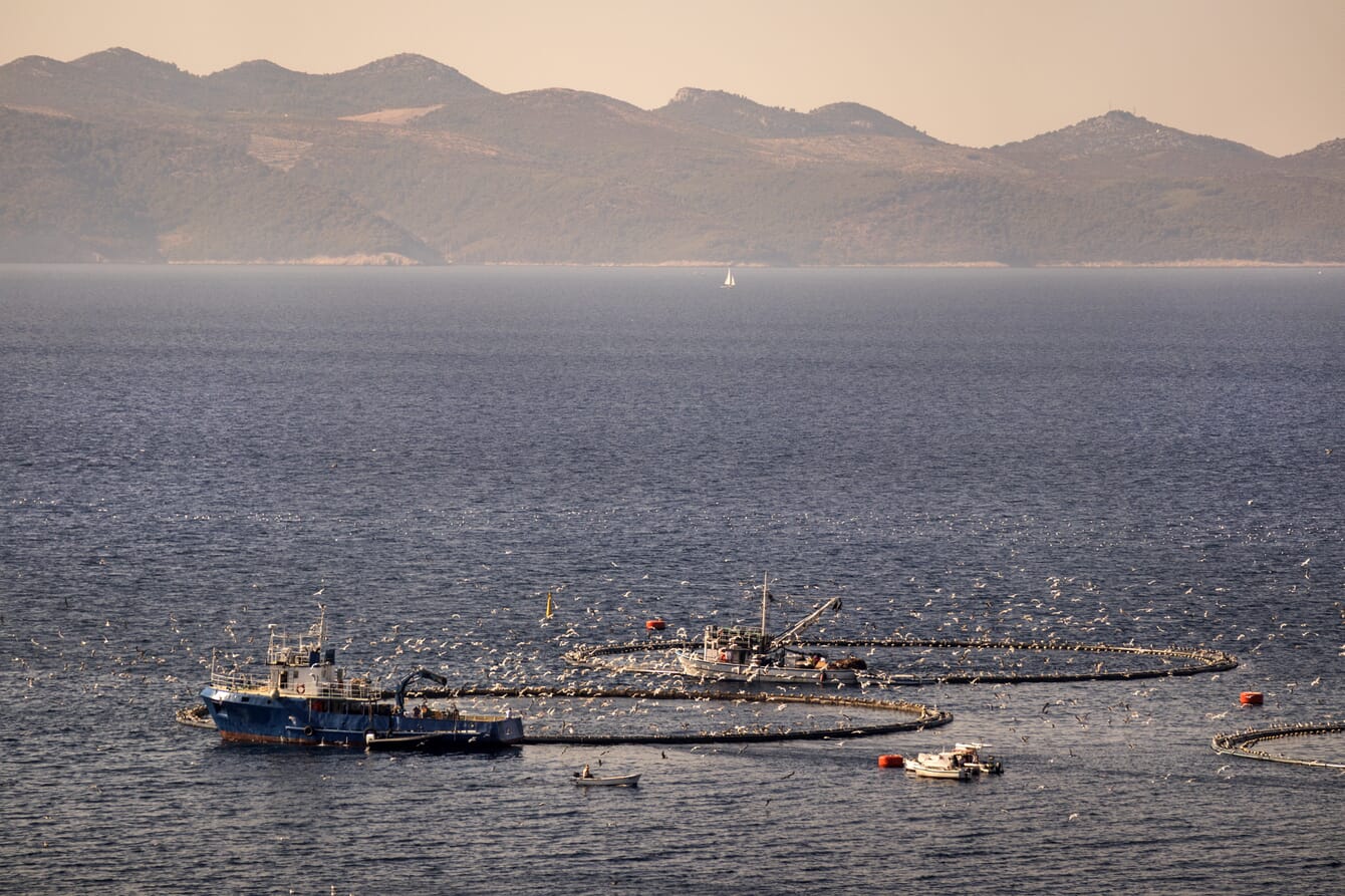 Barcos de pesca junto a jaulas marinas al atardecer