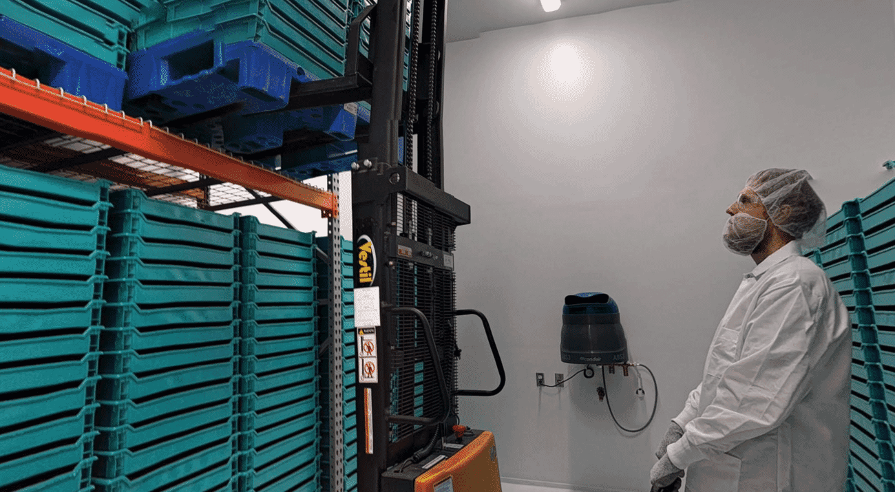 From small bugs to big bucks The Fish Site