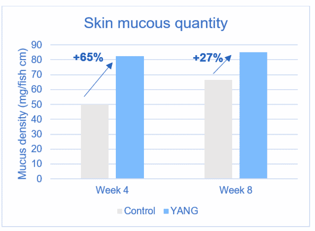 A graph.