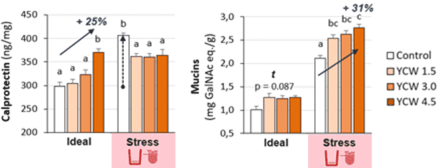 Dos gráficos.