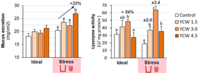 Two graphs