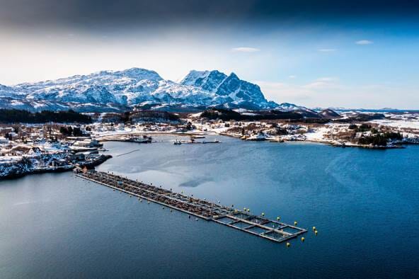 salmon pens in front of snowy hills