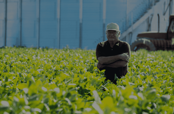 a farmer in a field of soy