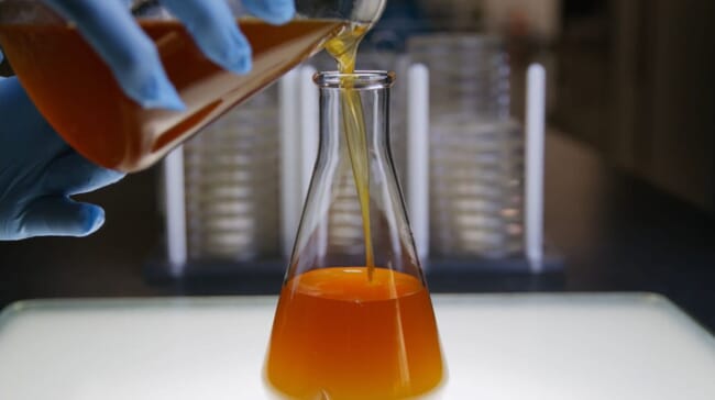 A conical flask with oil.