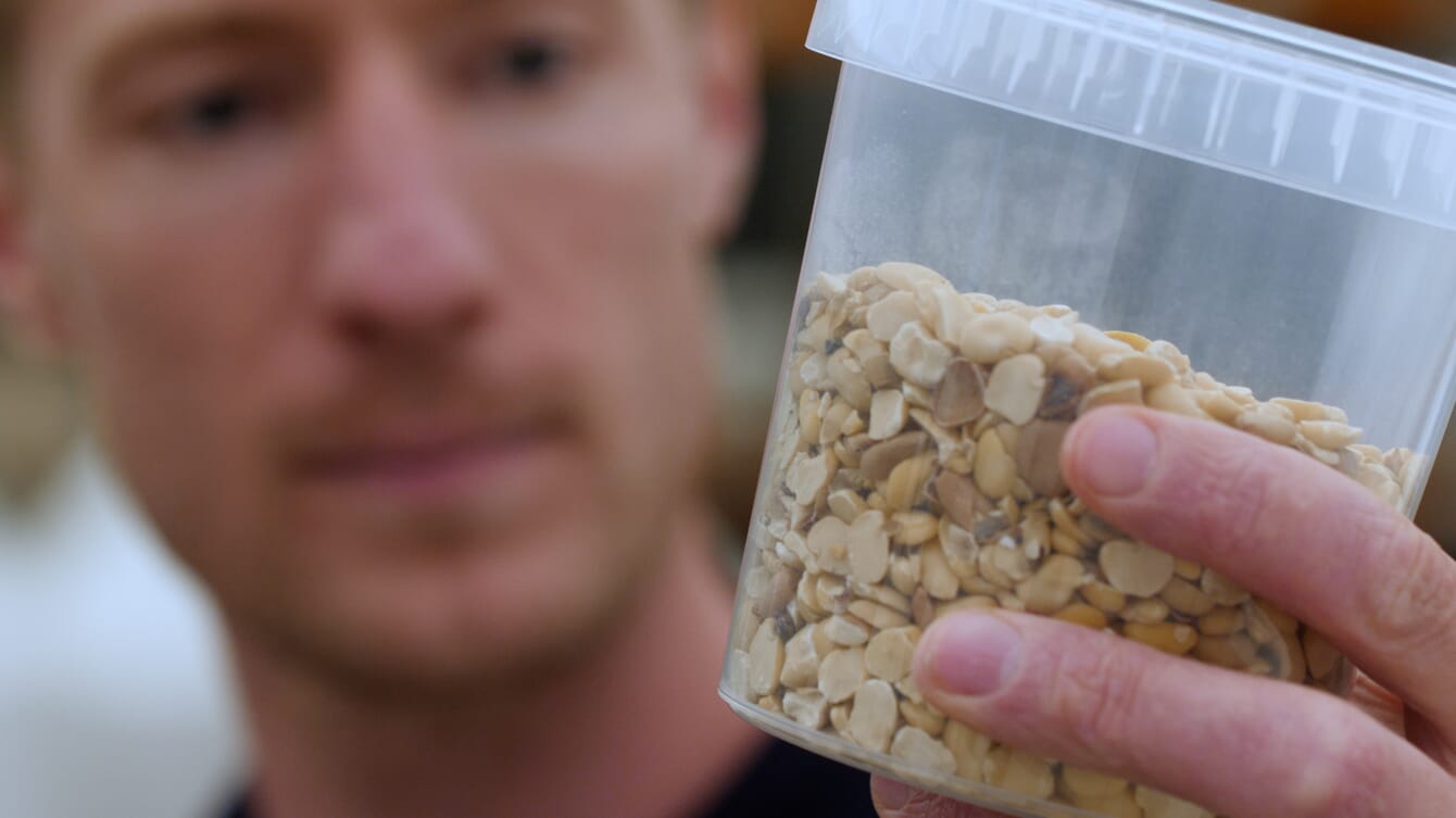 person holding a jar of raw feed ingredients
