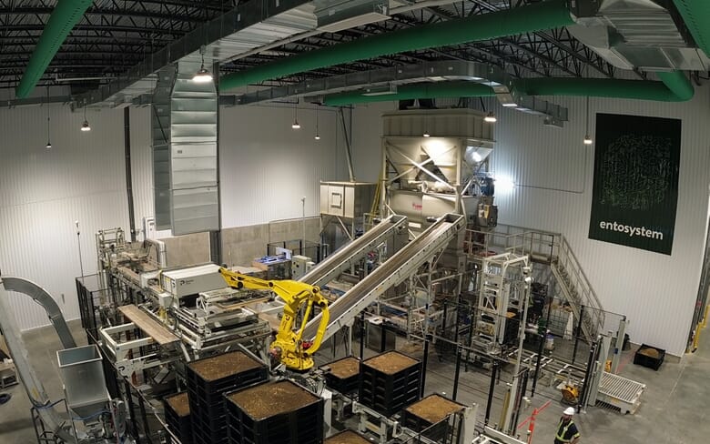 Black soldier fly unit opens at CMFRI | The Fish Site