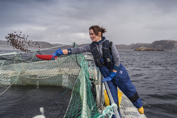 woman throwing aquaculture feed into net pen