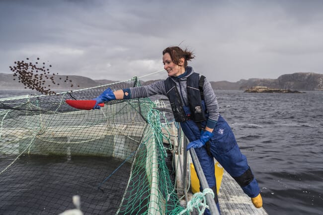 person throwing salmon feed into a net pen