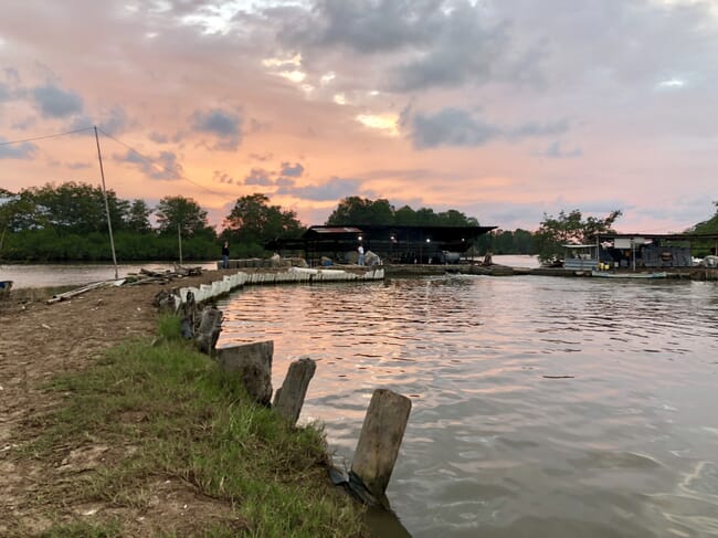 Shrimp pond in Ecuador