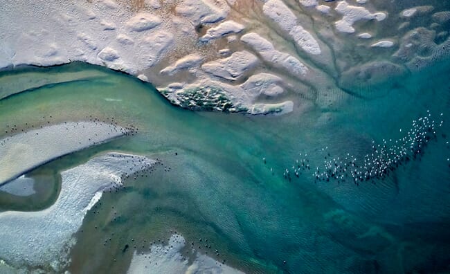 uma vista aérea de um estuário, com pássaros voando sobre a água