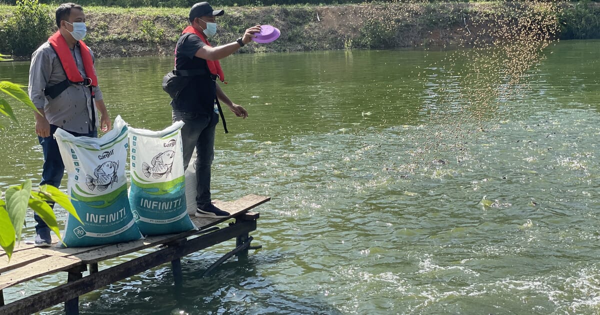 Trends and challenges in Indonesia’s aquafeed industry Trends and challenges in Indonesia’s aquafeed industry