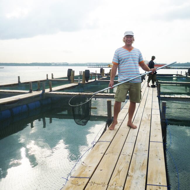 Hombre sujetando una red junto a corrales de peces