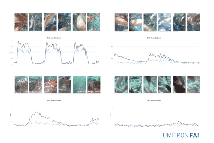 Umitron's Feed Appetite Index (FAI) combines several algorithms into a single index, and as a result it can be used under a range of environmental conditions and for a variety of camera mounting positions including both underwater and above water