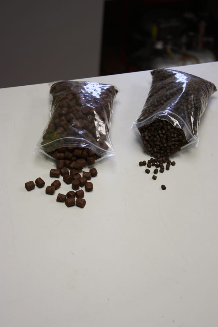 side-by-side comparison of aquafeed pellet sizes