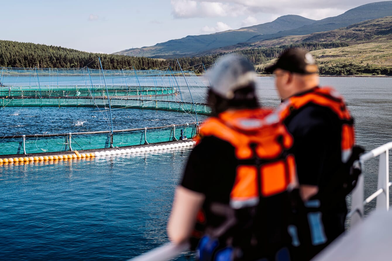 Two people looking at a salmon farm.