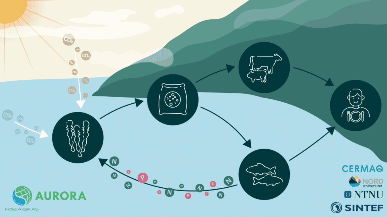 a diagram showing the circularity of the farm