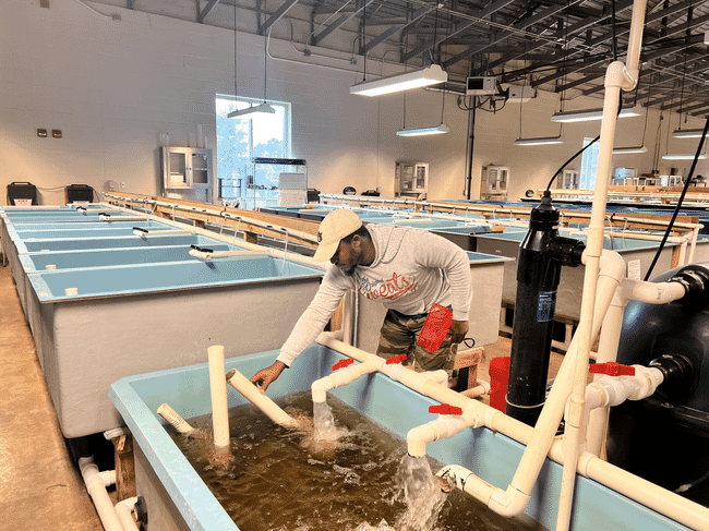 A man at work in an indoor fish farm.