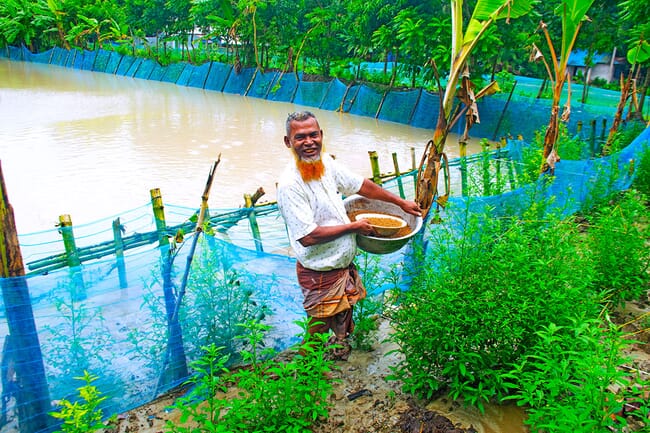 A man with an excellent dyed-orange beard.
