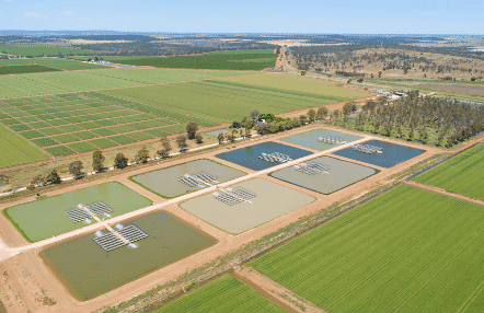 An aerial view of a pond-based fish farm, surrounded by green arable fields