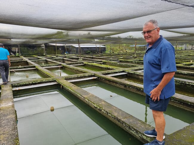 A man standing beside some ponds.
