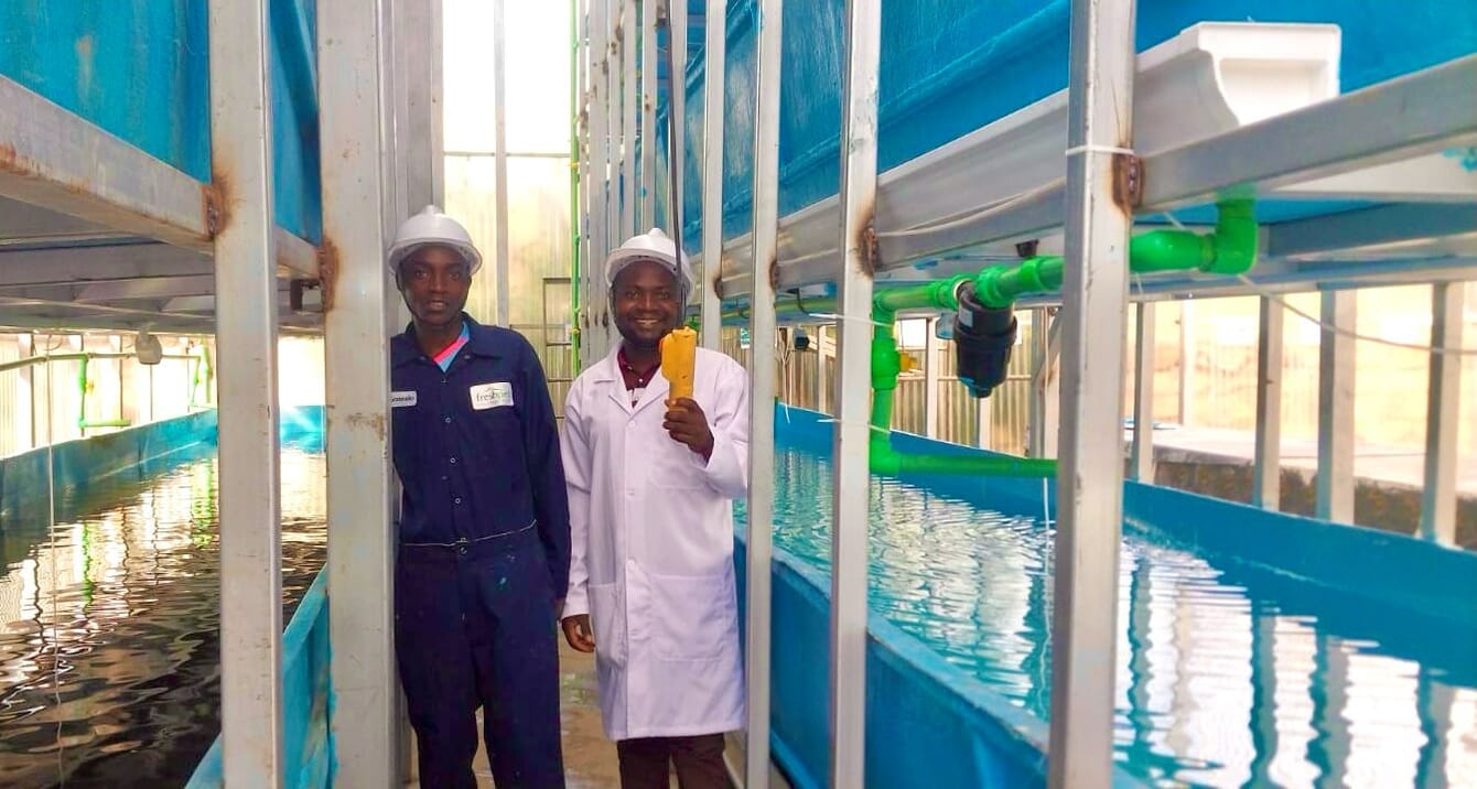 Two tilapia farm standing infront of stacked blue fish tanks.