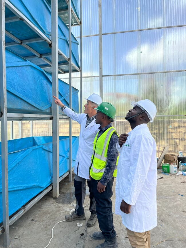 People looking at an innovative stacked farm in Kenya.