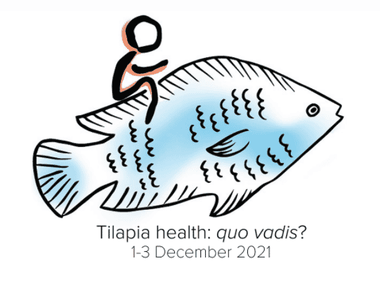 The FAO's Technical seminar on Tilapia Health is running from 1 to 3 December