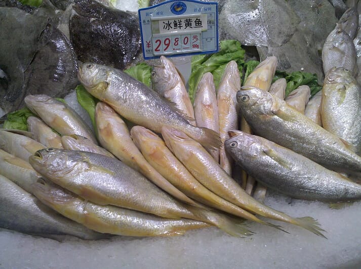large yellow croaker on ice in a grocery store
