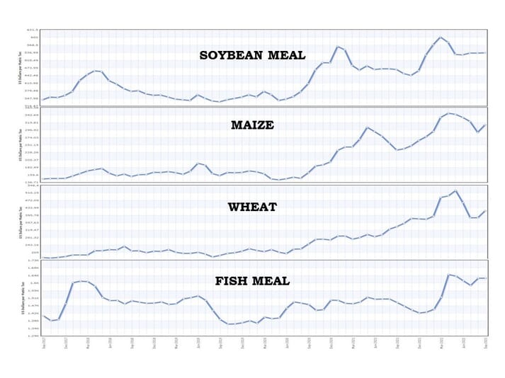 graph showing prices of feed ingredinets