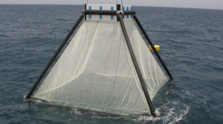 offshore aquaculture cage