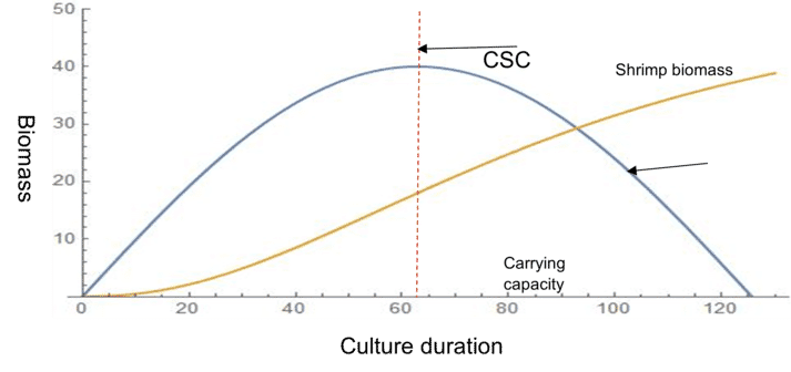 Chart illustrating the relationship between the critical standing crop and total carrying capacity for a shrimp pond