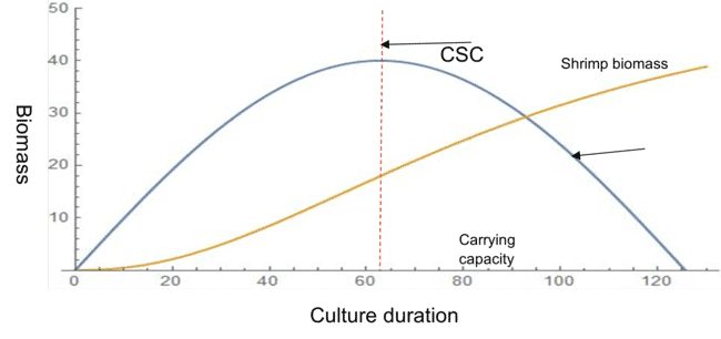 Chart illustrating the relationship between the critical standing crop and total carrying capacity for a shrimp pond