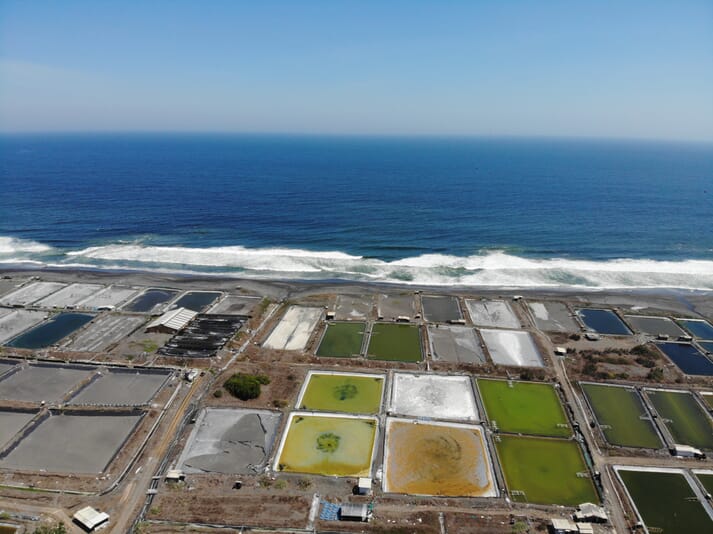 Aerial view of shrimp ponds with algae on the surface