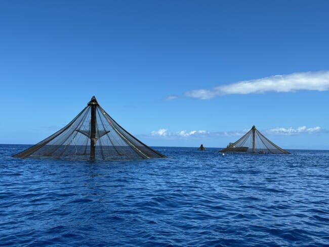 Dos jaulas sumergibles para peces.