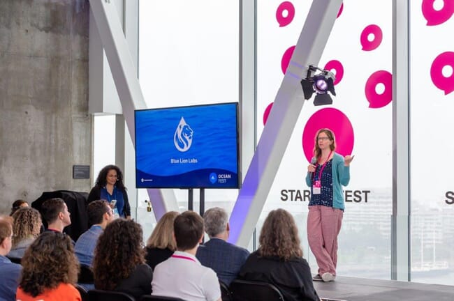 a woman addressing an audience