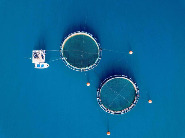 aerial view of offshore aquaculture pens