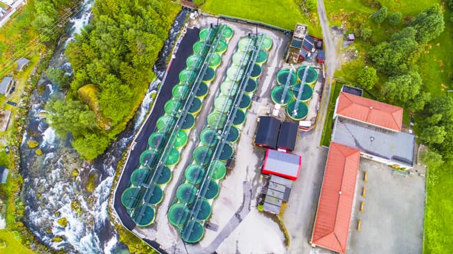aerial view of aquaculture tanks