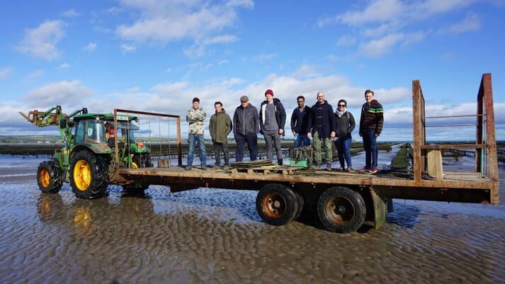 Participants in HATCH's programme are able to see all manner of aspects of the aquaculture sector - such as this oyster farm in Ireland - at first hand