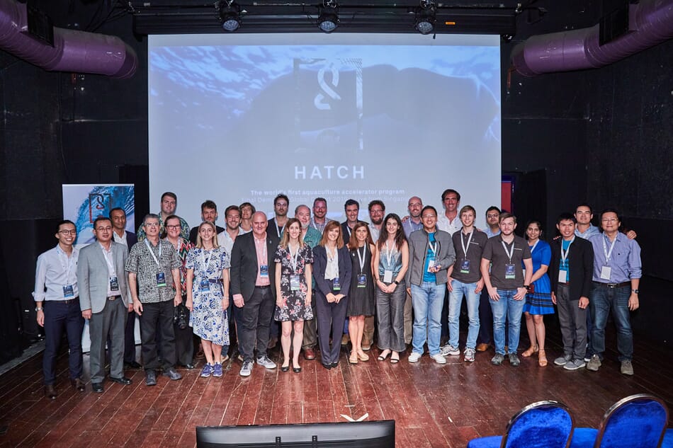 Hatch raises 8.4 million for aquaculture investment fund The Fish Site