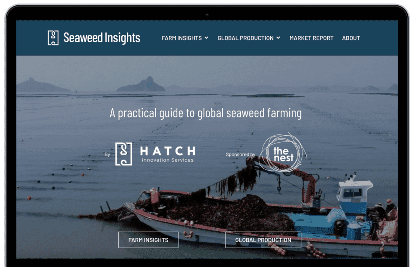 seaweed insights mock-up